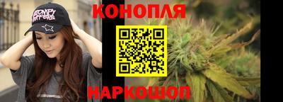 СК Краснознаменск