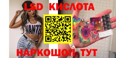 СК Краснознаменск