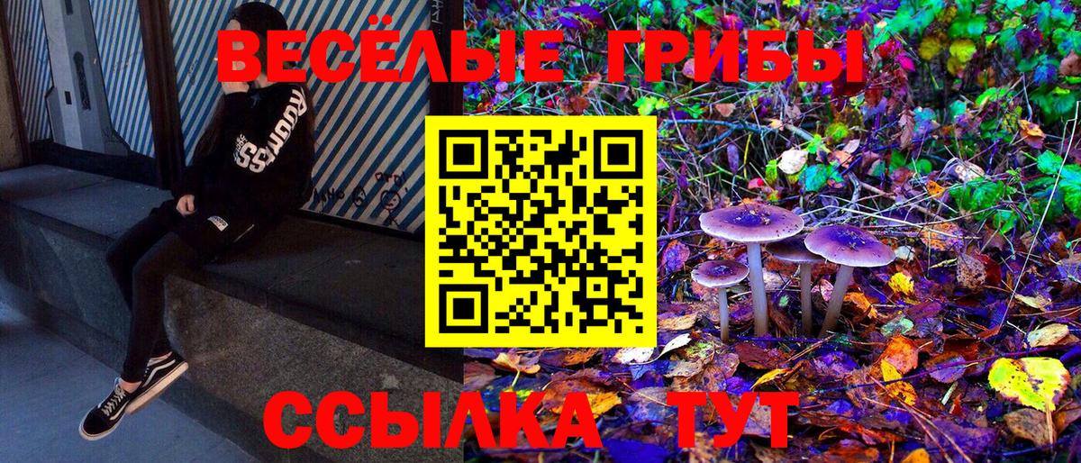 Канаш  хочу   Вход с VPN  Псилоцибиновые грибы GOLDEN TEACHER 