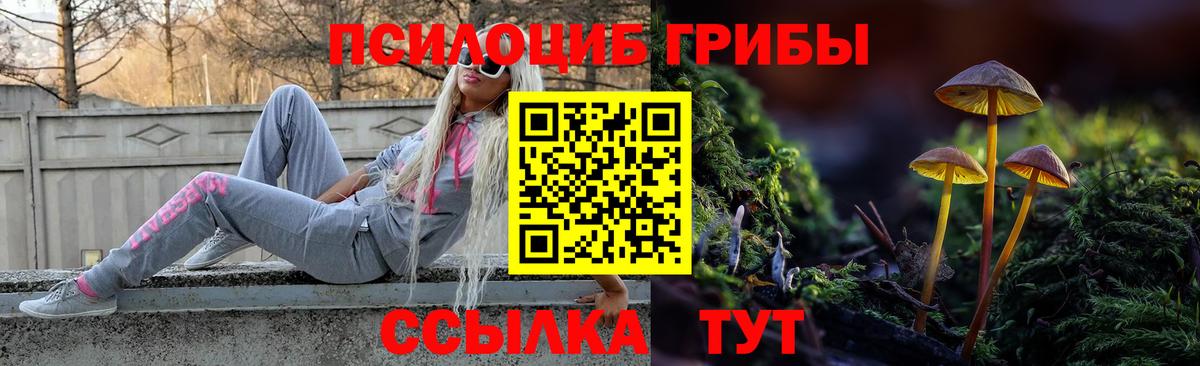 Галлюциногенные грибы MAGIC MUSHROOMS Канаш